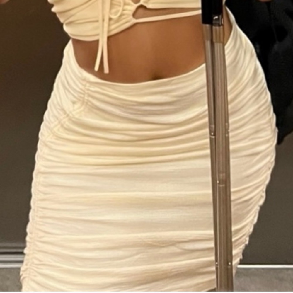 Zara NWOT Skirt